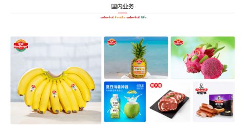 攜手并進，共創未來 佳農集團與巧廚供應鏈合作項目正式啟動